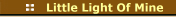 Little Light Of Mine